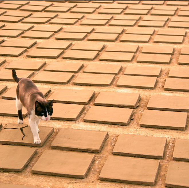 Tierra Cocida Diego Lopez